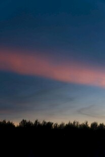 黄昏时分的天际与树林
