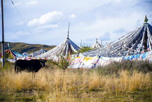 草原上的多彩经幡景观