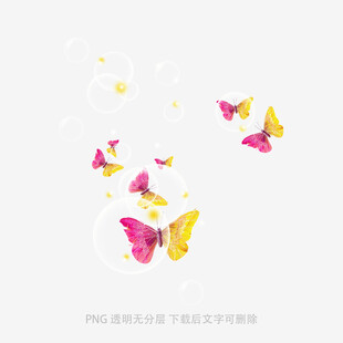 飞舞的多彩蝴蝶