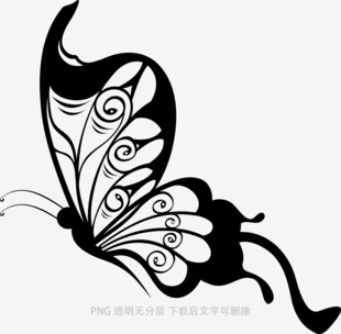 黑白花纹蝴蝶图案设计