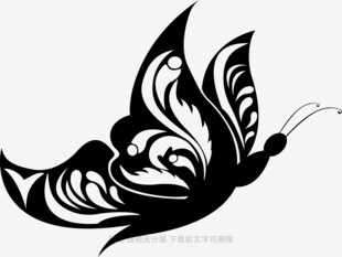 黑白蝴蝶图案设计元素