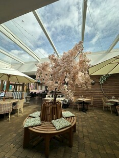 室内浪漫樱花景观空间