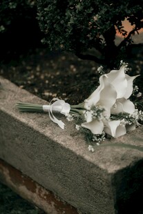 石台上的白色凋零花朵