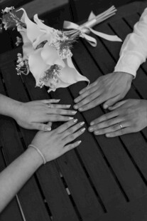 手与贝壳的温馨互动场景