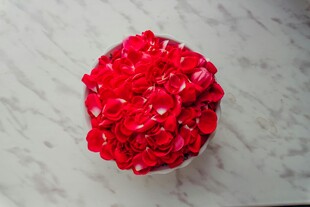 红色绣球花特写