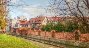 秋日红墙旁的宁静街道