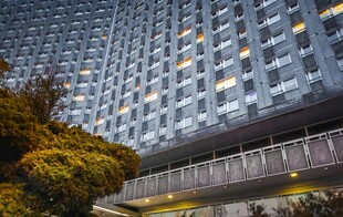 现代高楼夜景下的绿植景观