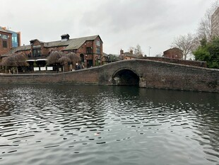 河畔石桥旁的宁静景致