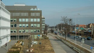 城市街道旁的建筑景观