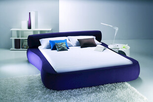 现代时尚紫色软包双人床