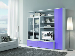 现代紫色时尚鞋柜展示