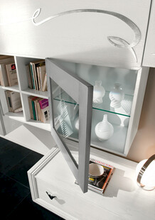 现代简约风格的玻璃收纳柜