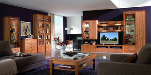 现代风格豪华客厅展示