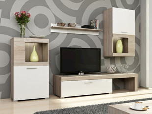 现代简约风客厅电视柜组合