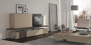 现代简约风格客厅家具