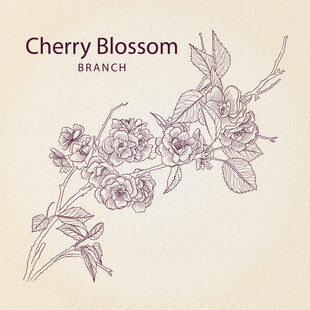 手绘樱花枝图案