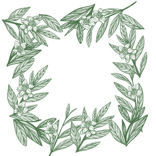 手绘绿叶花环装饰图案
