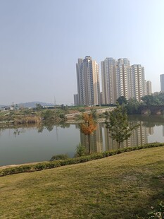 湖畔高楼与绿地风景