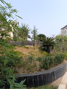 户外绿植环绕的景观小道