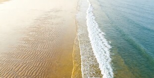 金色海滩与海浪