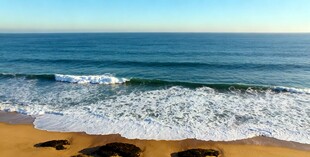 沙滩海景遮阳伞下的惬意