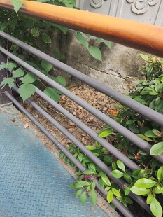 户外金属栏杆与绿植景观
