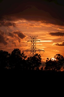 夕阳下的输电塔与树林