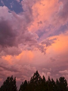 夕阳下的云霞与林木