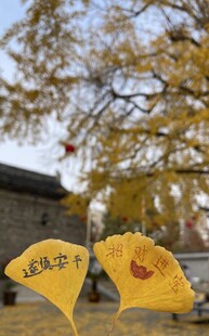 秋日银杏叶上的励志话语