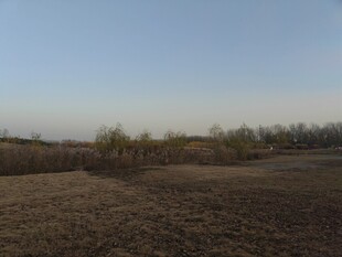 田野风光远处树木与蓝天