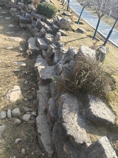 自然景观中的嶙峋石块