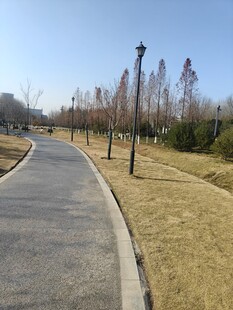 公园中的宁静步道