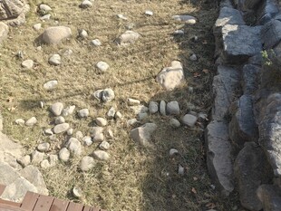 户外碎石与草地场景