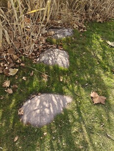 草地上的几块石头