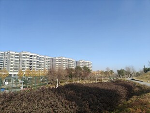 城市住宅区旁的开阔景观