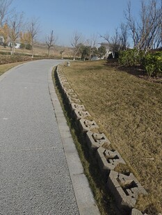 户外蜿蜒的水泥小路