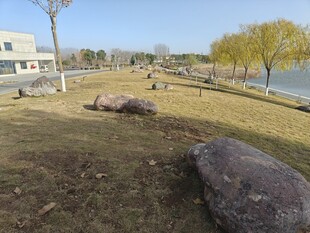 湖畔草地与巨石风景