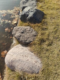 岸边草地旁的几块大石头