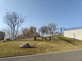 户外开阔草地景观