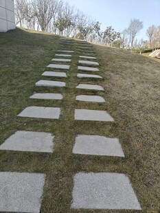 石板小径蜿蜒于草地间