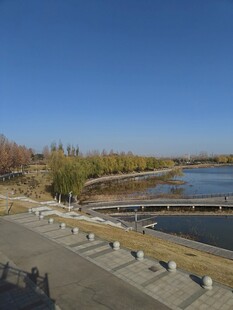 河畔风光宁静宜人景色