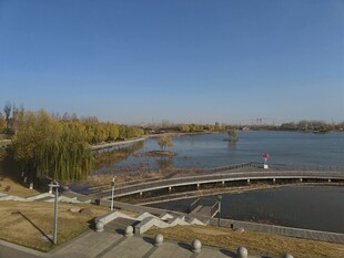 湖畔风光宁静宜人景色美