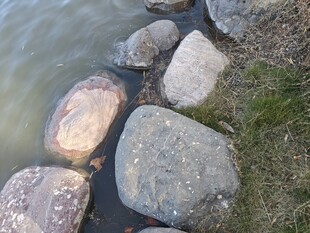 岸边石头与水域景致