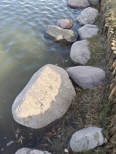 水边散落的大小鹅卵石