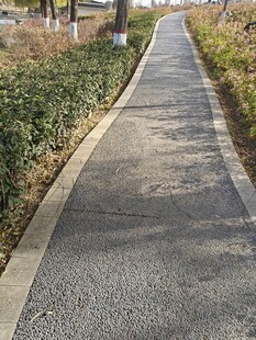 城市中的幽静步道