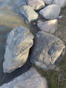 水边散落的灰色岩石