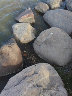 河边的光滑大石头