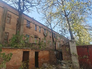 废弃红砖建筑与树木景观