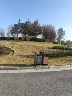 路边的垃圾桶与绿化景观