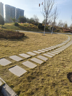 石板小径穿草地